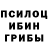 Псилоцибиновые грибы Psilocybine cubensis NoneOtherThan NIGEL
