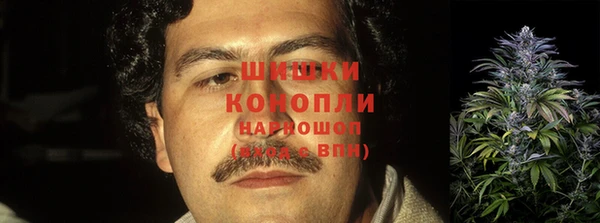 сатива Куйбышев
