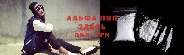 сатива Куйбышев