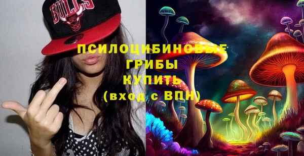 таблы Новодвинск