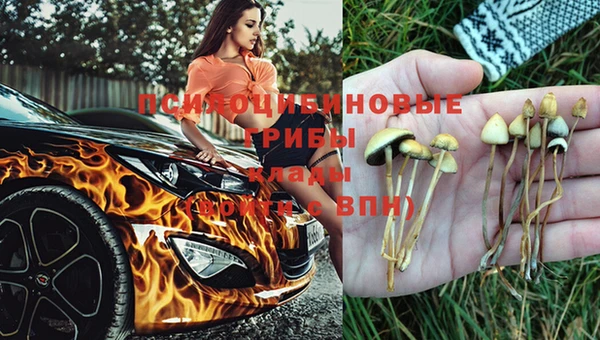 кокаин перу Кукмор