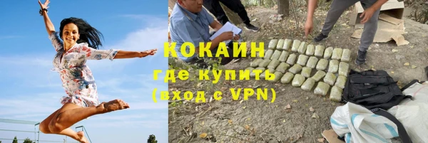 сатива Куйбышев