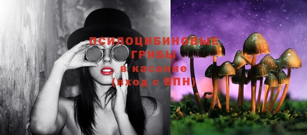 сатива Куйбышев