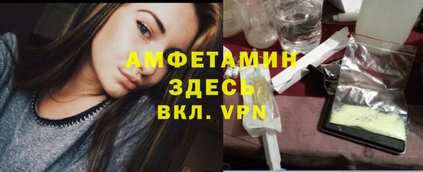 сатива Куйбышев
