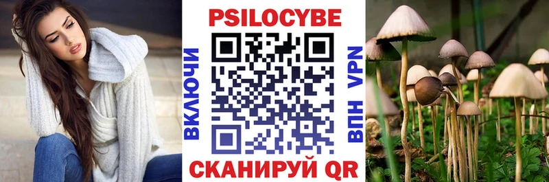 Галлюциногенные грибы Psilocybe  сколько стоит  Новотитаровская 